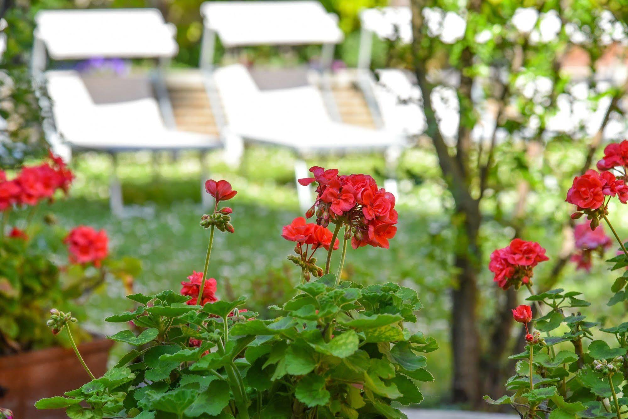 Hotel Sant'Andrea Ravenna Luaran gambar